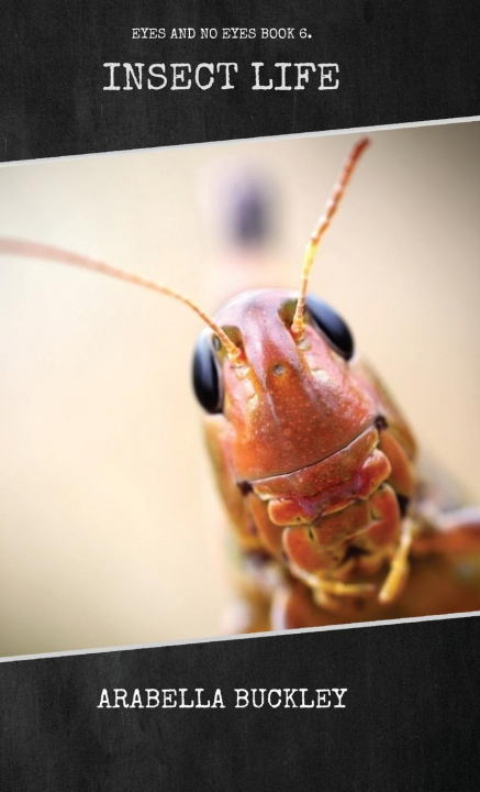 Książka Insect Life Arabella Buckley