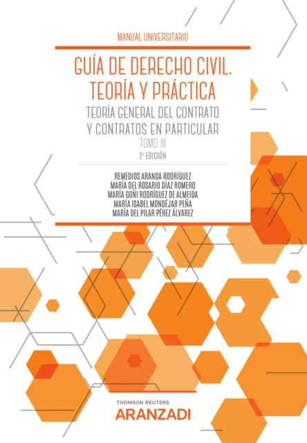 E-kniha Guia de Derecho Civil. Teoria y practica (Tomo III) 