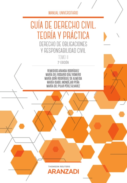 E-kniha Guia de Derecho Civil. Teoria y practica (Tomo II) 