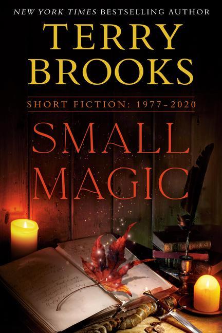 Libro Small Magic Terry Brooks