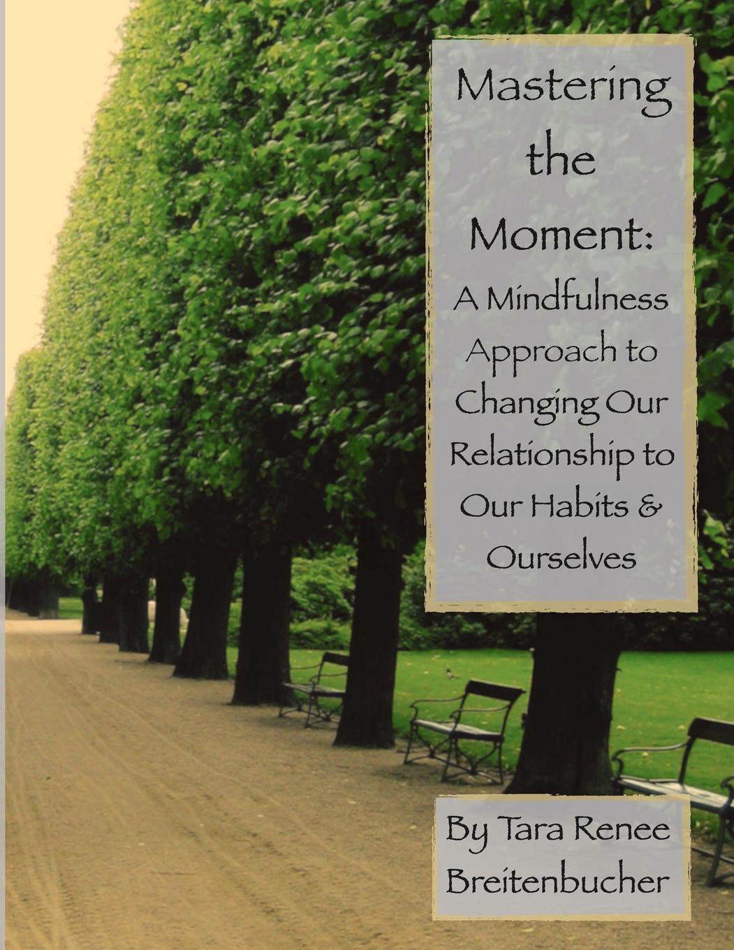 Book Mastering the Moment Tara Breitenbucher