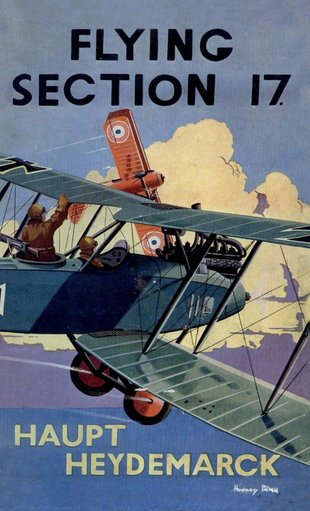 Book Flying Section 17 Haupt Heydemarck
