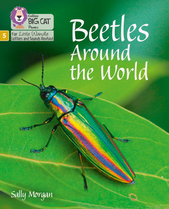 Kniha Beetles Around the World Sally Morgan