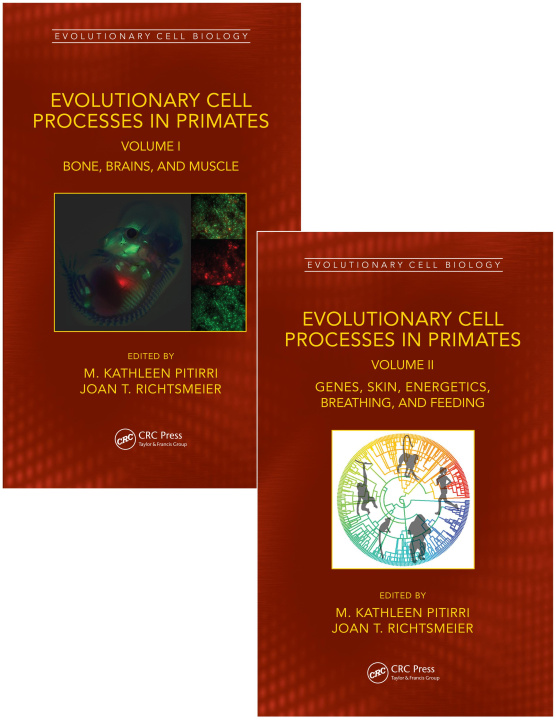Książka Evolutionary Cell Processes in Primates Joan T. Richtsmeier