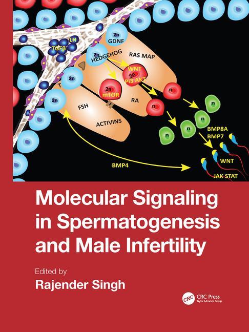 Carte Molecular Signaling in Spermatogenesis and Male Infertility 
