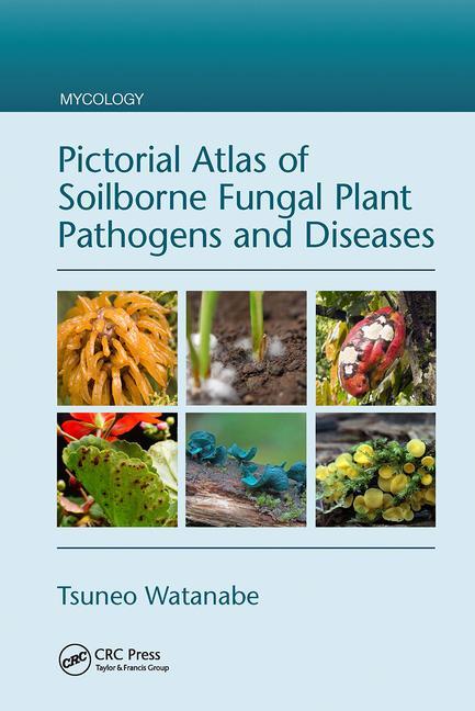 Könyv Pictorial Atlas of Soilborne Fungal Plant Pathogens and Diseases 