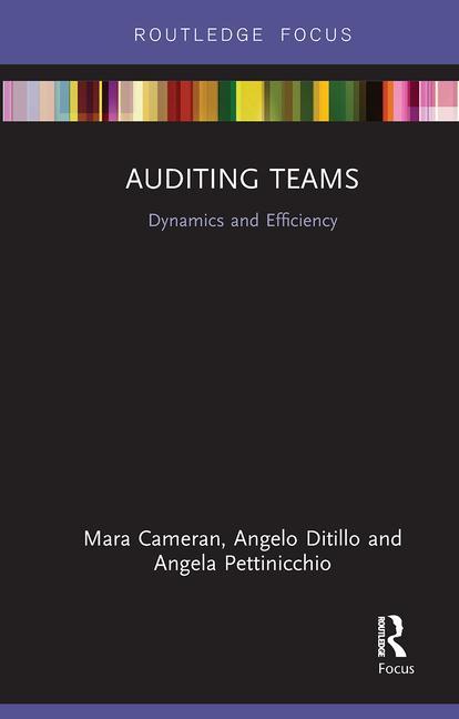 Knjiga Auditing Teams Angelo Ditillo