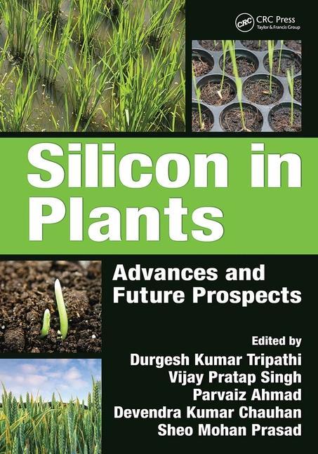 Книга Silicon in Plants 
