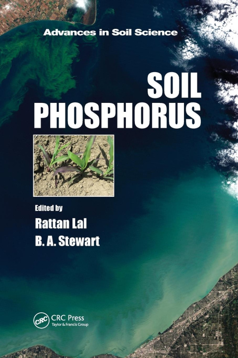 Kniha Soil Phosphorus Rattan Lal