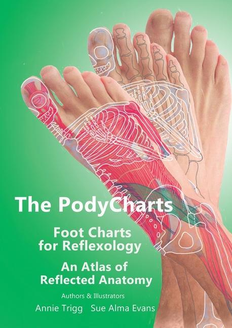 Книга PodyCharts foot charts for reflexology Annie Trigg
