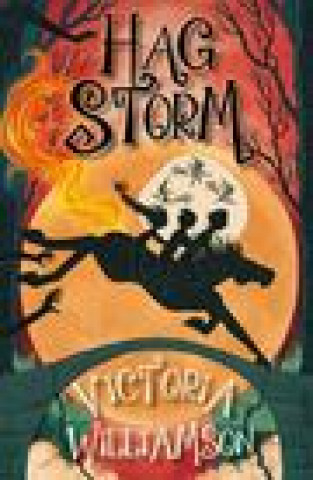 Buch Hag Storm Elise Carmichael