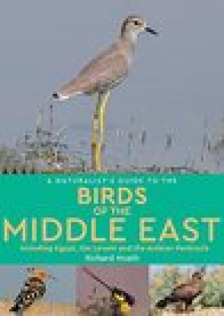 Kniha Naturalist's Guide to the Birds of Egypt and the Middle East Richard Hoath
