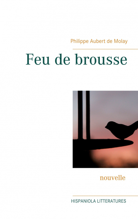 Книга Feu de brousse 