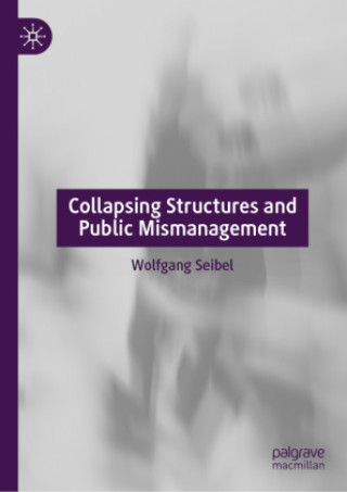 Kniha Collapsing Structures and Public Mismanagement Wolfgang Seibel