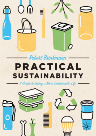 Kniha Practical Sustainability Robert Brinkmann