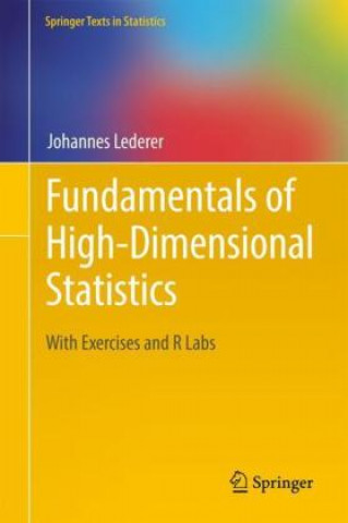 Könyv Fundamentals of High-Dimensional Statistics Johannes Lederer