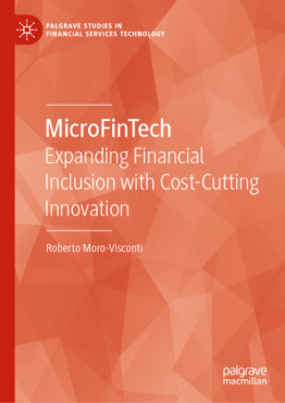 Boek MicroFinTech Roberto Moro-Visconti