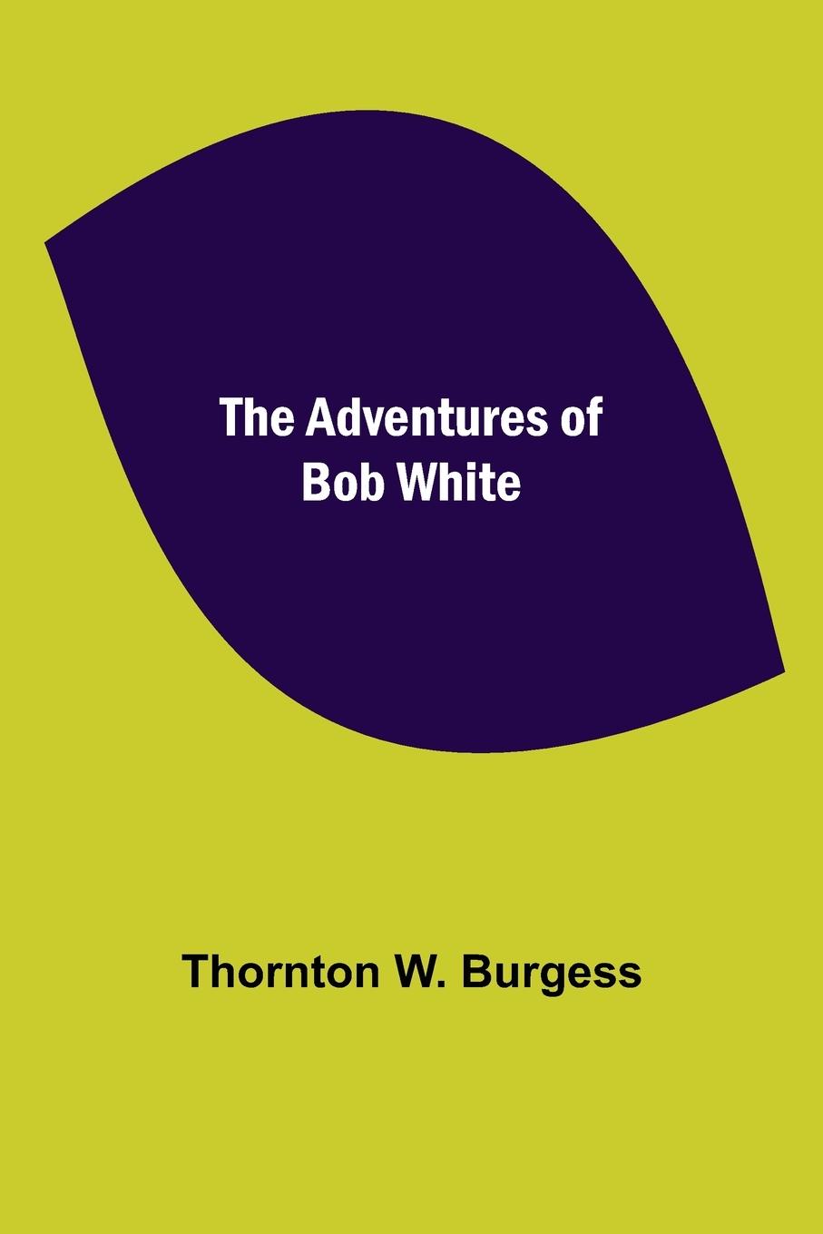 Buch Adventures of Bob White Thornton W. Burgess