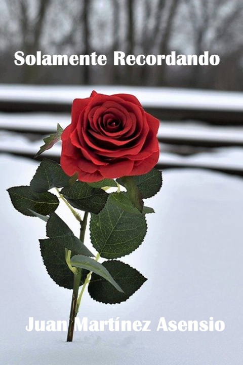 Βιβλίο Solamente Recordando Juan Martinez Asensio