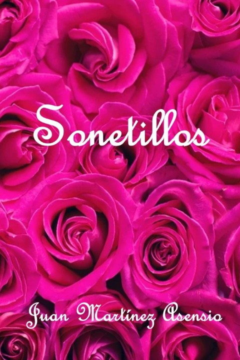 Book Sonetillos Juan Martinez Asensio