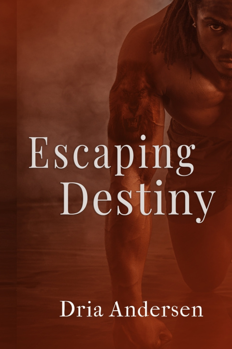 Buch Escaping Destiny Dria Andersen