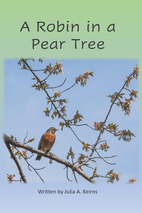 Knjiga Robin in a Pear Tree Keirns Julia A. Keirns