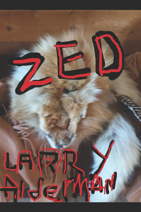 Knjiga Zed Larry Alderman