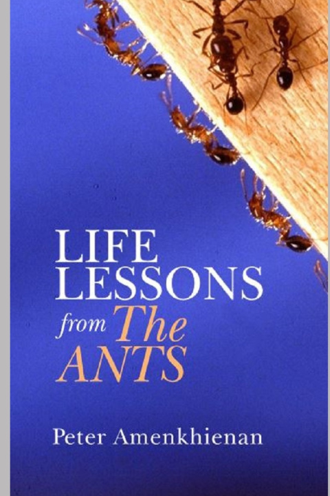 Carte Life Lessons from the Ants Peter Amenkhienan
