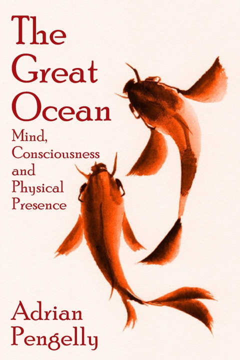 Knjiga Great Ocean Adrian The Healer