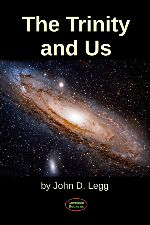 Knjiga Trinity and Us Legg John David Legg
