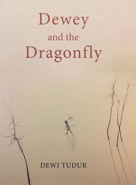 Knjiga Dewey and the Dragonfly Dewi Tudur