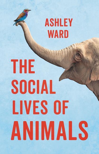 Carte The Social Lives of Animals 