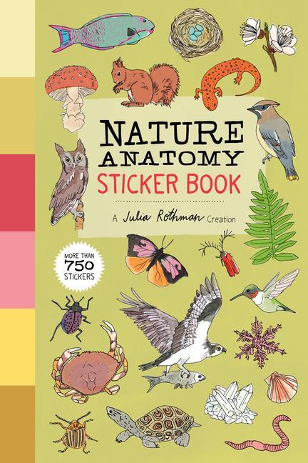 Kniha Nature Anatomy Sticker Book 