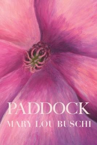 Knjiga Paddock Eileen Cleary
