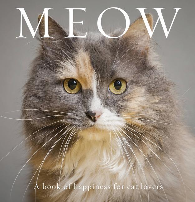 Kniha Meow 