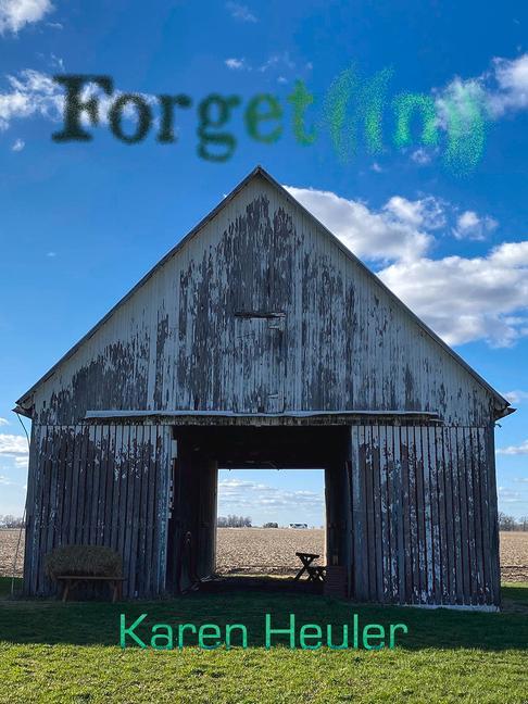 Book Forgetting Karen Heuler