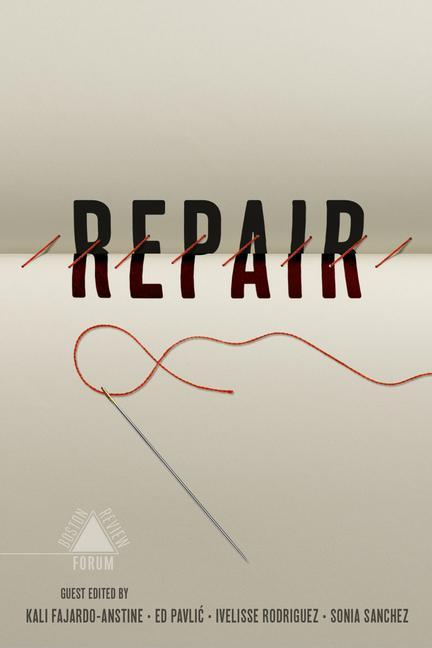 Boek Repair Ed Pavlic