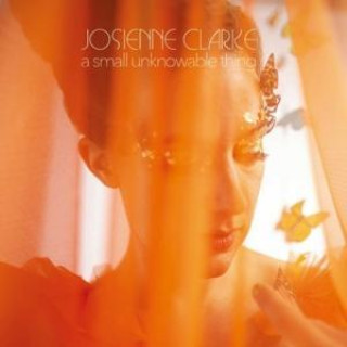 Zvok A Small Unknowable Thing Josienne Clarke