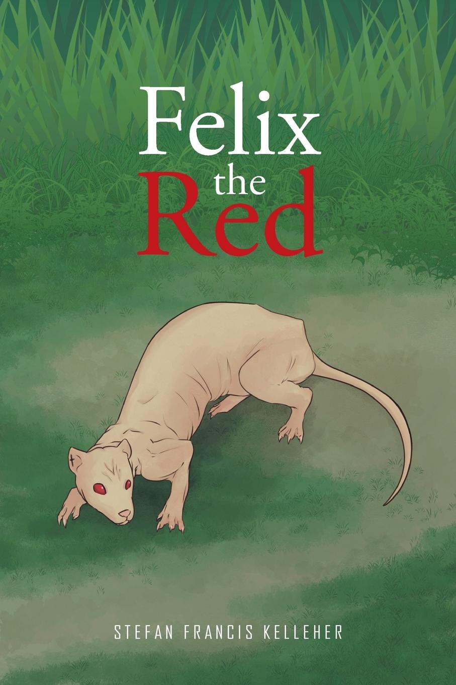 Buch Felix the Red Stefan Francis Kelleher