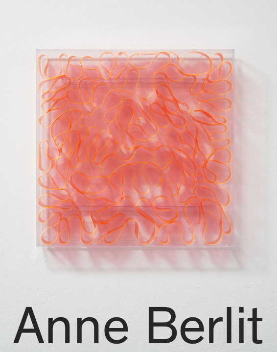 Buch Anne Berlit Claudia Posca