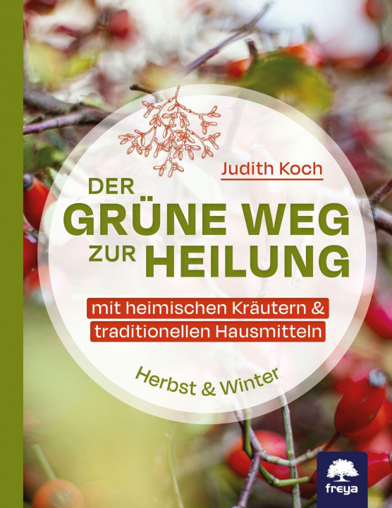 Knjiga Der grüne Weg zur Heilung Judith Koch
