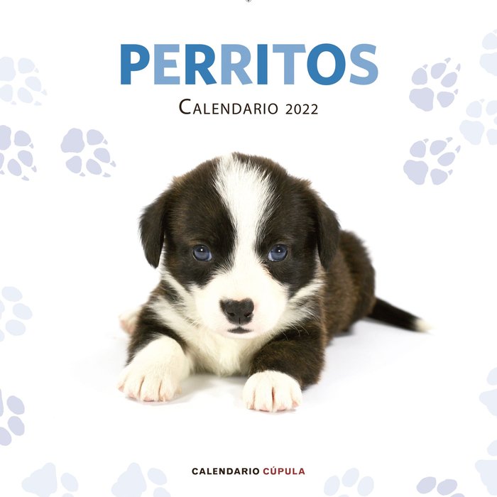 Carte CALENDARIO PERRITOS 2022 