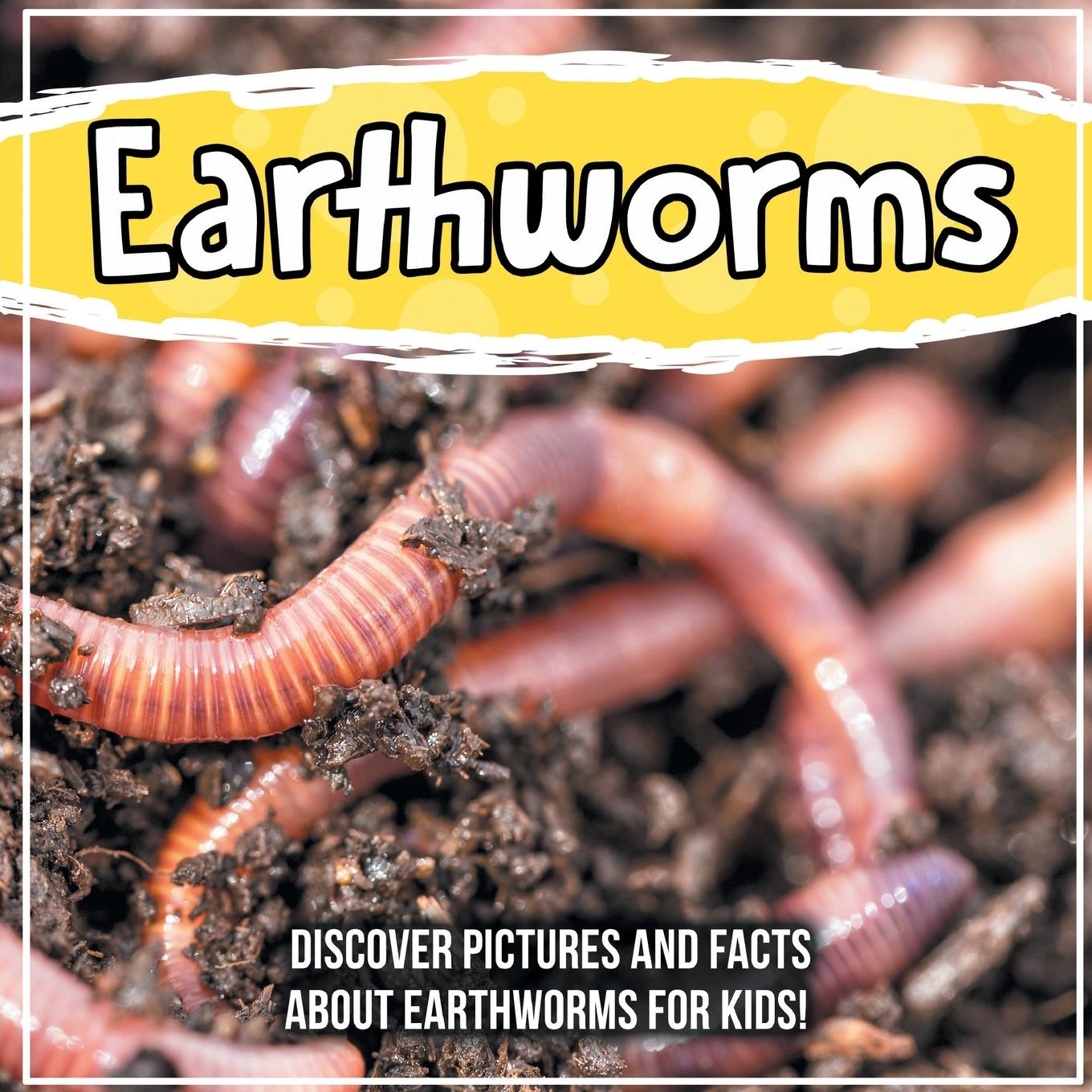 Könyv Earthworms 