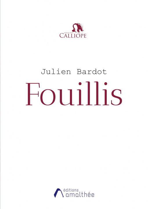 Knjiga Fouillis Julien Bardot