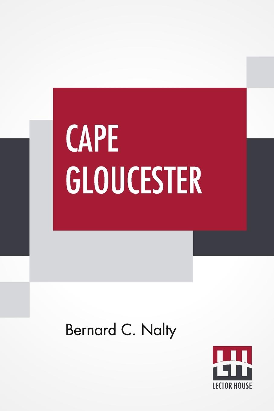 Knjiga Cape Gloucester Bernard C. Nalty