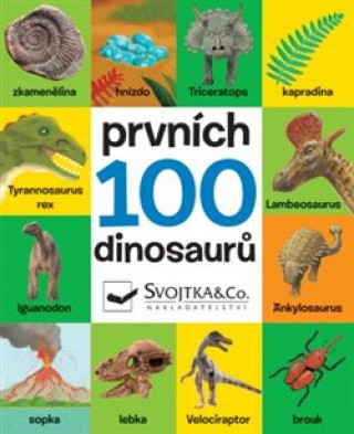 Könyv Prvních 100 dinosaurů 