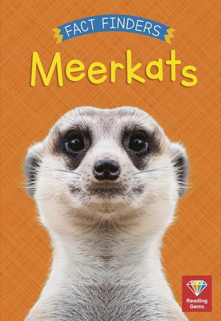 Kniha Meerkats 