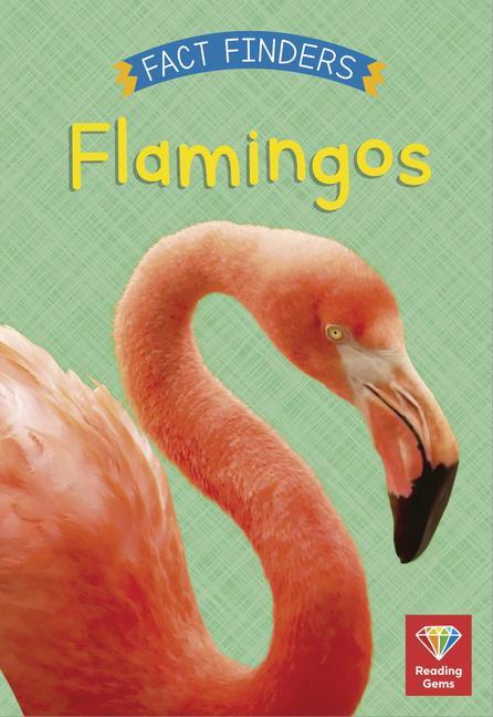 Knjiga Flamingos Katie Woolley