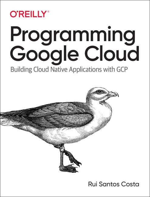 Kniha Programming Google Cloud 