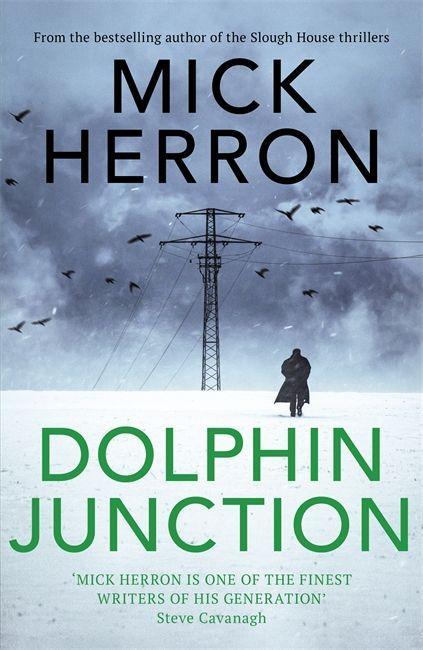 Boek Dolphin Junction MICK HERRON
